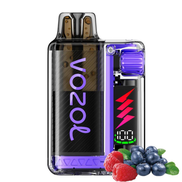 Vozol Vista Plug 20mg 2ml Kit + 10ml E-Liquid Blueberry Sour Raspberry